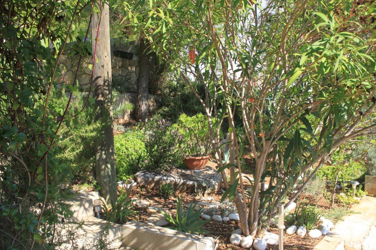 Apartments With A Parking Space Rukavac, Vis - 2444 Rukavac  Εξωτερικό φωτογραφία